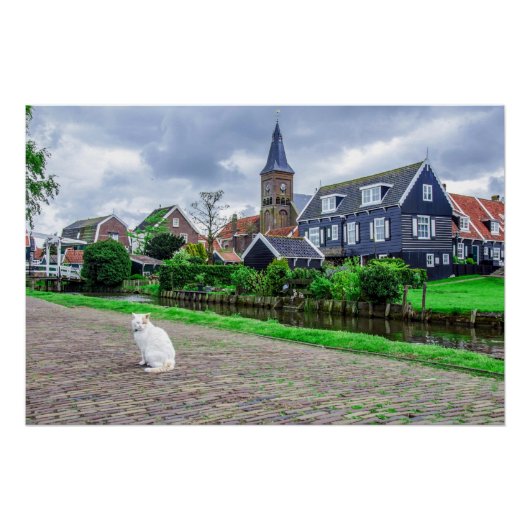 キャットイン伝統的魚釣り村 ポスター (正面)