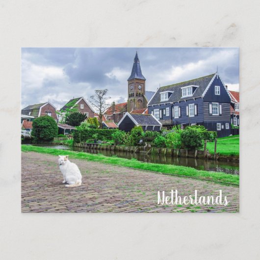 キャットイン伝統的魚釣り村 ポストカード (正面)