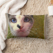 キャットウィズブルーアイズバイアレクサンドラ調理師 ランバークッション (ブランケット)