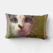 キャットウィズブルーアイズバイアレクサンドラ調理師 ランバークッション (裏面)