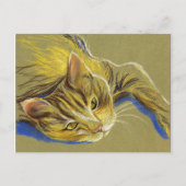 キャットウィズ金ゴールドアイズパステルスケッチ ポストカード (正面)