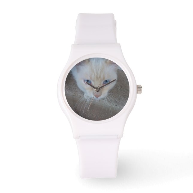 キャットウォッチ 腕時計 (正面)