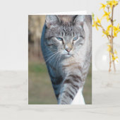 キャットウォーク カード (黄色い花)