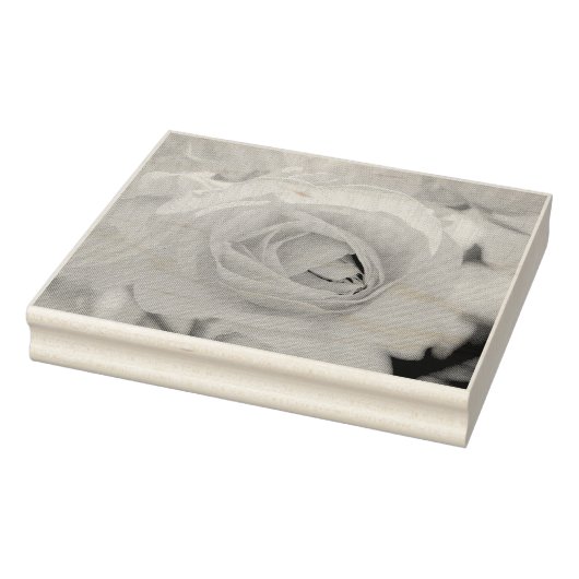 キャットウォーク ラバースタンプ (スタンプ)