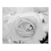 キャットウォーク ラバースタンプ (インプリント)