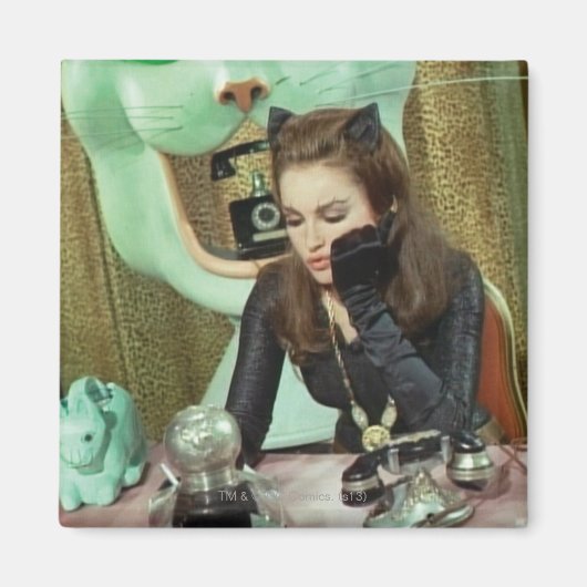 キャットウーマン マグネット (正面)