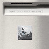 キャットウーマン – 稲妻 マグネット (インサイチュ (食洗機))