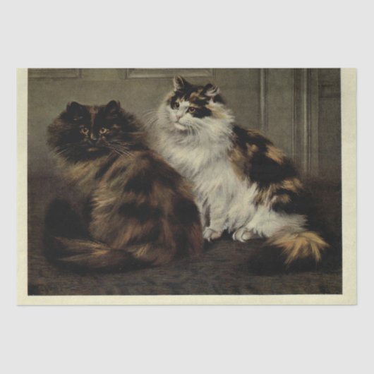 キャットエフェメラデコップトルトースヘル白黒 薄葉紙 (正面)