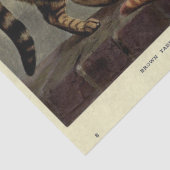 キャットエフェメラデコップブラウンオレンジ虎猫 薄葉紙 (詳細)