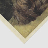 キャットエフェメラデコップブラウン虎猫シルバーペルシャ 薄葉紙 (詳細)