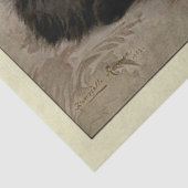 キャットエフェメラデコップブラックペルシア 薄葉紙 (詳細)