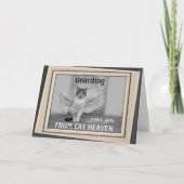 キャットエンジェル同情カード カード (正面)