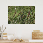 キャットオナンステール ポスター (キッチン)