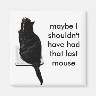 キャットオンはかりで測 マグネット