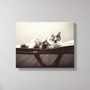 キャットオンバッグ キャンバスプリント