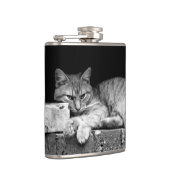 キャットオンブリック壁 フラスク (右)