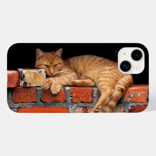 キャットオンブリック壁 Case-Mate iPhoneケース (裏面 (横))