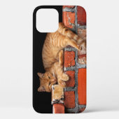 キャットオンブリック壁 Case-Mate iPhoneケース (裏面)