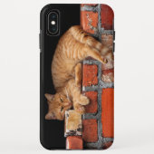キャットオンブリック壁 Case-Mate iPhoneケース (裏面)