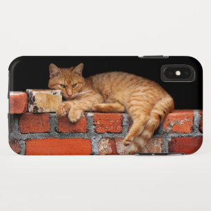 キャットオンブリック壁 iPhone XS MAXケース