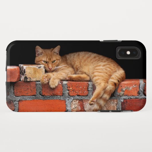 キャットオンブリック壁 Case-Mate iPhoneケース (裏面(横))