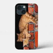キャットオンブリック壁 Case-Mate iPhoneケース (裏面)