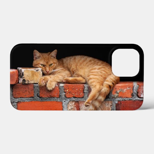 キャットオンブリック壁 Case-Mate iPhoneケース (裏面 (横))