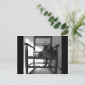 キャットオンロッカー ポストカード (スタンド正面)