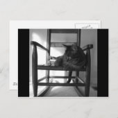 キャットオンロッカー ポストカード (正面/裏面)