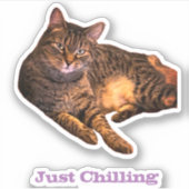 キャットカスタムカットビニールのシール シール (正面)