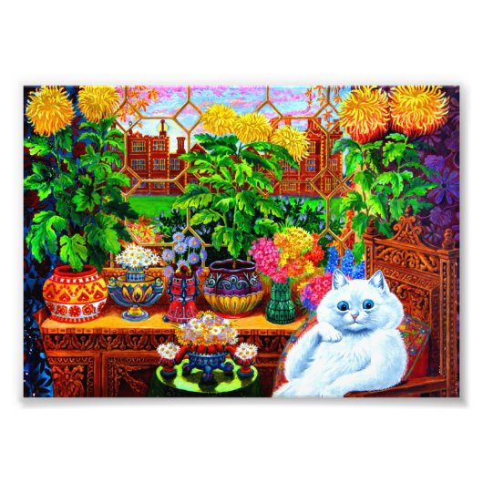 キャットカレッジマスター フォトプリント            (正面)