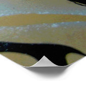 キャットガールナイトポスター ポスター (角)