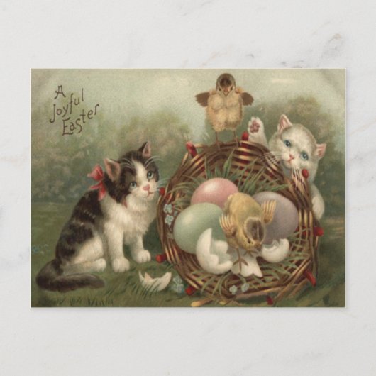 キャットキットイースター色の色彩の鮮やか卵の雛 シーズンポストカード (正面)
