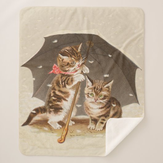 キャットキットン子猫アンティークヴィンテージかわいらしかわいい シェルパブランケット (正面)