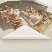 キャットキットン子猫アンティークヴィンテージかわいらしかわいい シェルパブランケット (3/4)