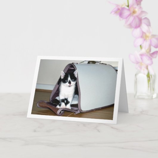 キャットキャリアの白黒の子猫 カード (蘭)