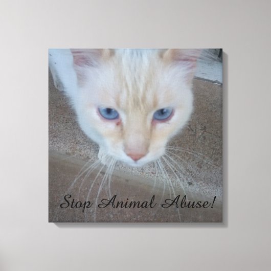 キャットキャンバス印刷 キャンバスプリント (正面)