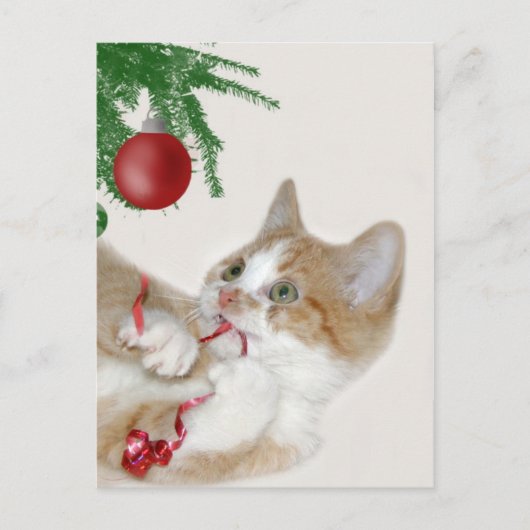 キャットクリスマスおもしろい シーズンポストカード (正面)