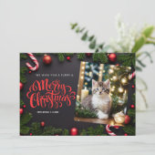 キャットクリスマスグリーティングカード シーズンカード (スタンド正面)