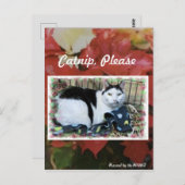 キャットクリスマスポストカード ポストカード (正面/裏面)