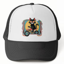 キャットクールライダー