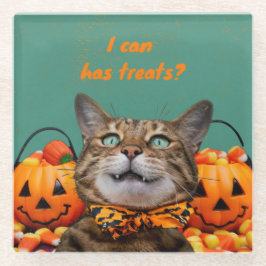 キャットグラスのコースターを飲める ガラスコースター