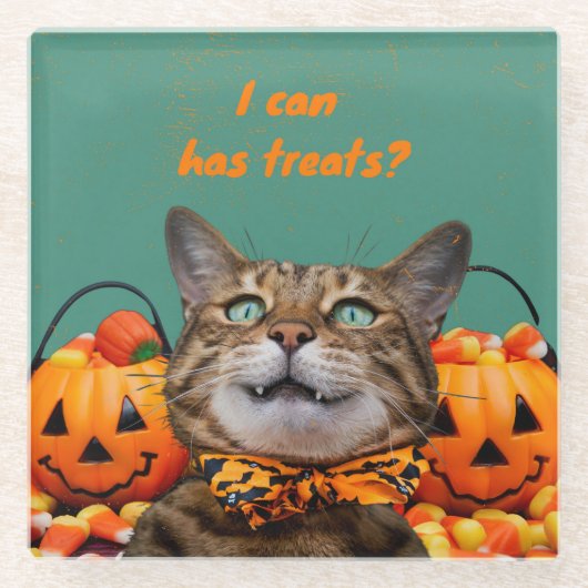 キャットグラスのコースターを飲める ガラスコースター (正面)