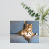 キャットゲーマーポストクロッシング ポストカード (スタンド正面)