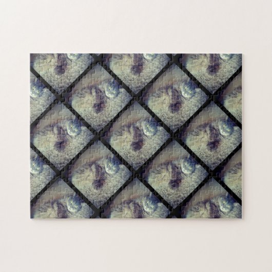 キャットコラージバイシャーリーテイラー ジグソーパズル (横)