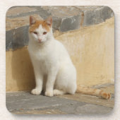 キャットコースター コースター (正面)