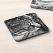 キャットコースター コースター (左側)