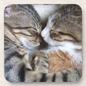 キャットコースター コースター (正面)