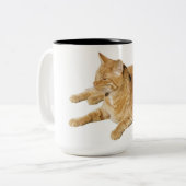 キャットコーヒーマグ ツートーンマグカップ (正面左)