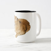 キャットコーヒーマグ ツートーンマグカップ (正面右)